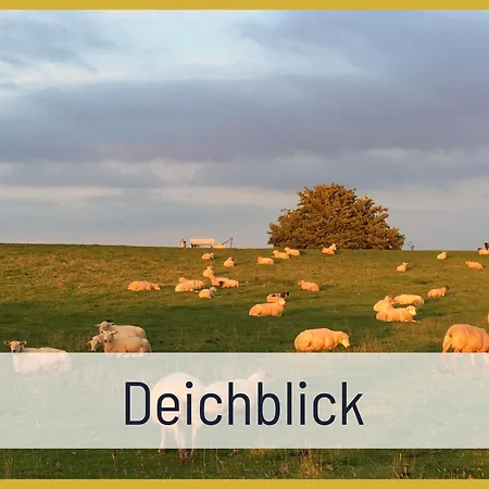 Elbe Boardinghouse Appartement