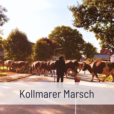 Lejlighed Elbe Boardinghouse Kollmar