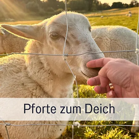 Elbe Boardinghouse Lejlighed *