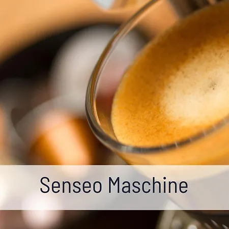 Appartement Elbe Boardinghouse Kollmar